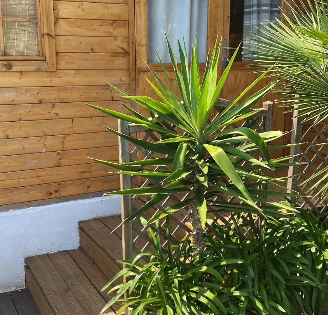 Hotel Villa Maya Гассен Франция